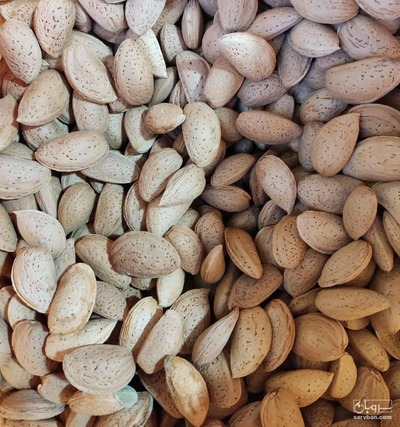 فروش بادام درختی