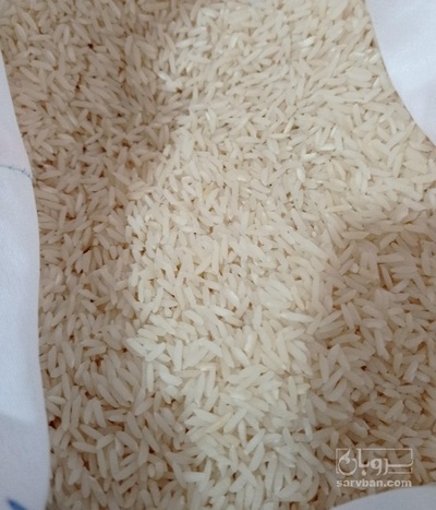 فروش برنج هاشمی