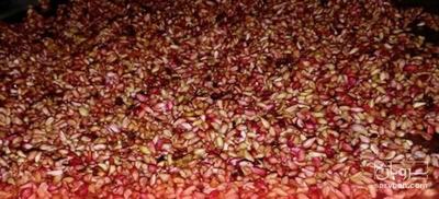 فروش هسته - دانه انار