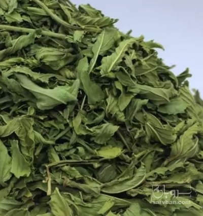 فروش برگ چغندر خشک