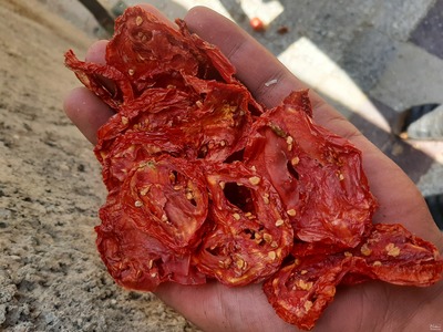 فروش گوجه خشک