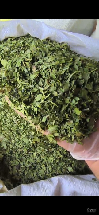 فروش گشنیز خشک