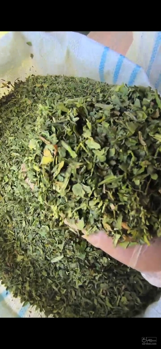 فروش اسفناج خشک