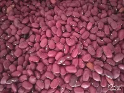 فروش لوبیا قرمز