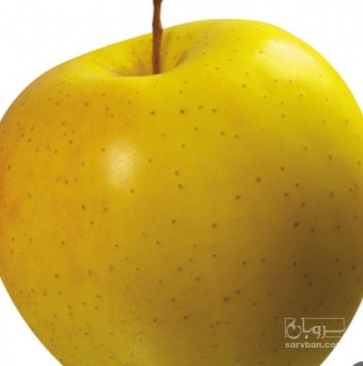 فروش سیب زرد
