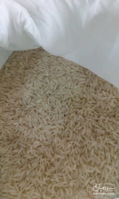 فروش برنج طارم علی کاظمی
