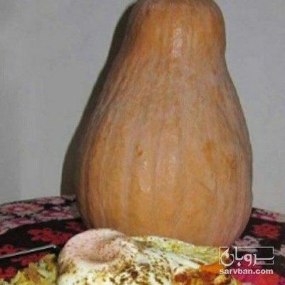 فروش کدو حلوایی