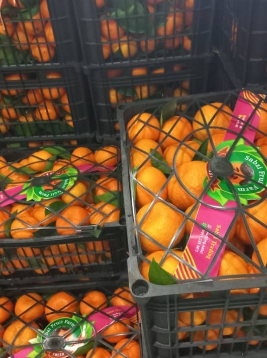فروش پرتقال