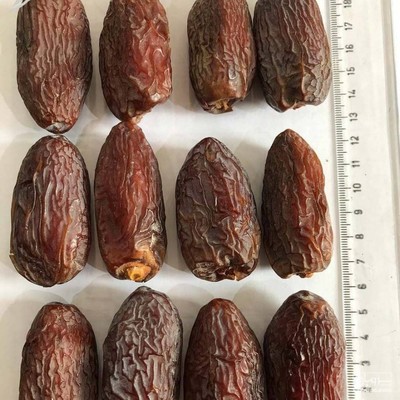 فروش خرما مجول