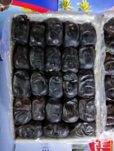 فروش خرما مضافتي