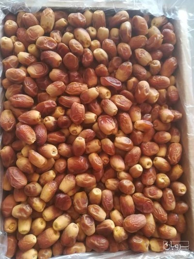 فروش خرما زاهدي