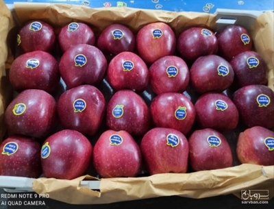 فروش سیب قرمز