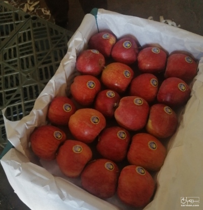 فروش سیب قرمز