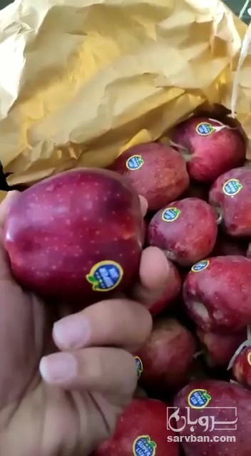فروش سیب قرمز