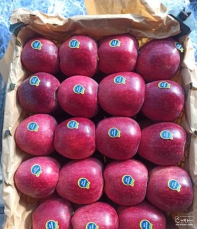 فروش سیب قرمز