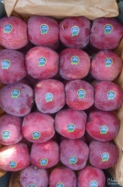 فروش سیب قرمز
