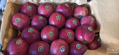 فروش سیب قرمز