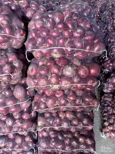 فروش پیاز قرمز بناب