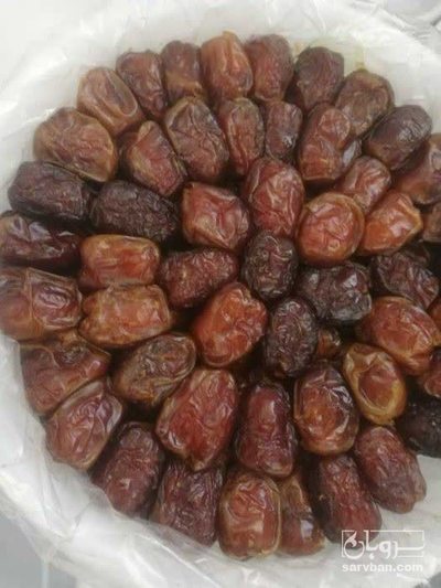 فروش خرما کبکاب