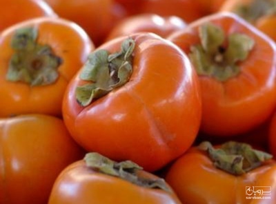 فروش خرمالو