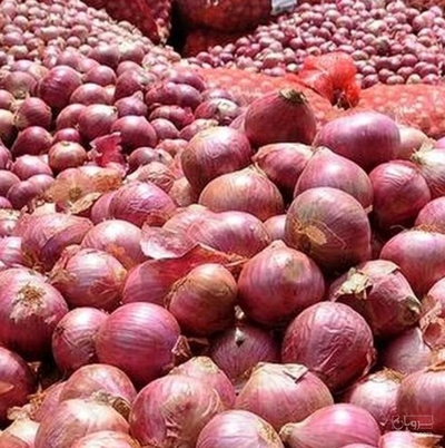 فروش پیاز