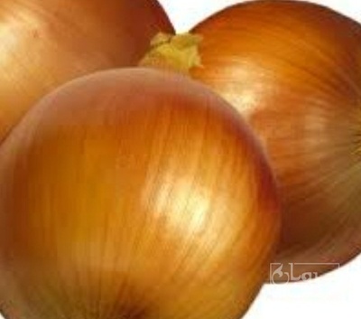 فروش پیاز