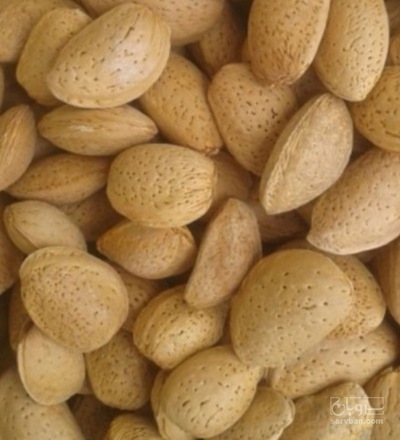 فروش بادام درختی (سنگی)