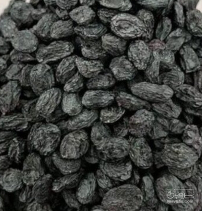 فروش مویزسیاه