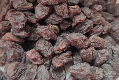 فروش مویزقرمز