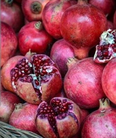 فروش انار