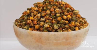 فروش  رز غنچه ساناز