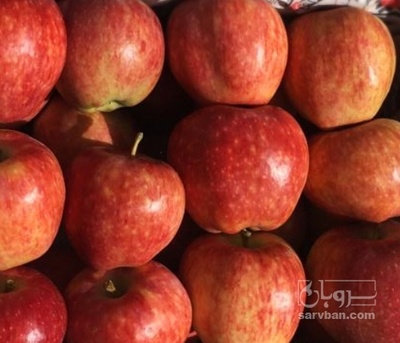 فروش سیب قرمز