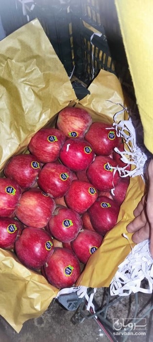 فروش سیب