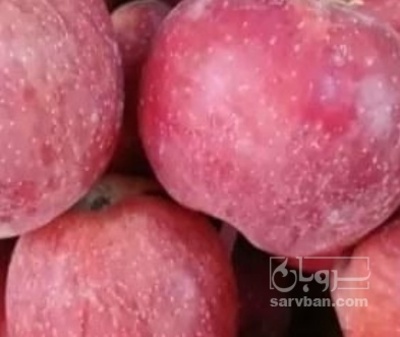فروش سیب زیر سورتی
