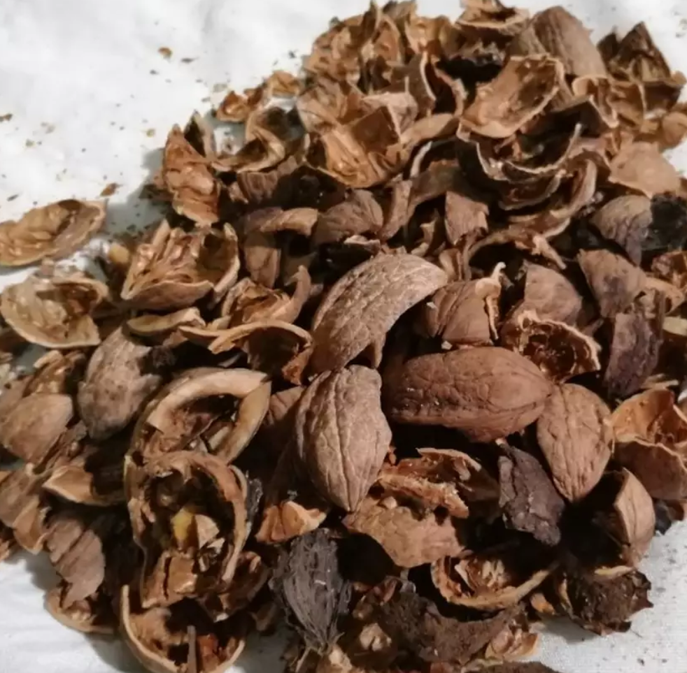 فروش پوست گردو