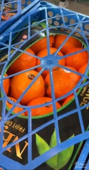 فروش پرتقال
