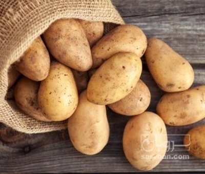 فروش سیب زمینی