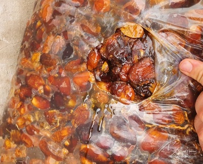 فروش خرماضایعاتی