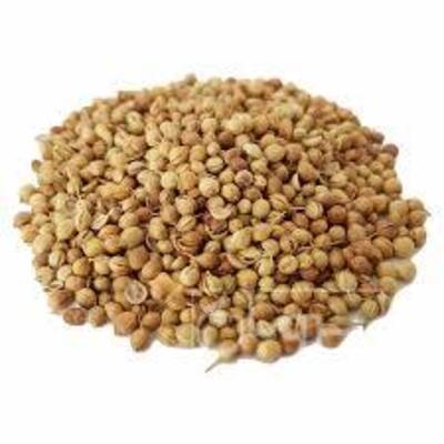 فروش تخم گشنیز (گیاه‌ دارویی)