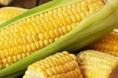 فروش ذرت