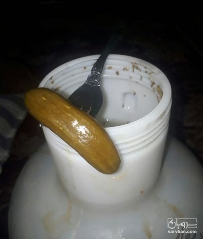 فروش خیار شور