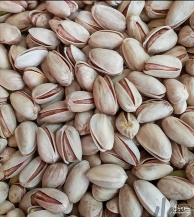 فروش پسته ساده