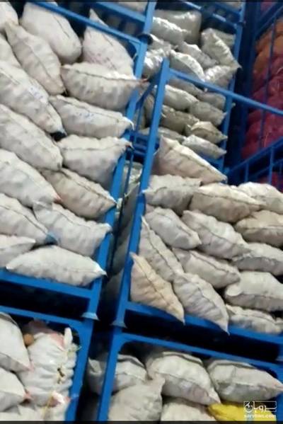 فروش سیب زمینی اگریا