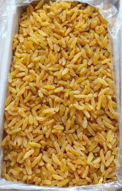 فروش کشمش کاشمری