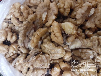 فروش گردو آجیلی سفید