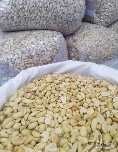 فروش بادام زمینی بو داده
