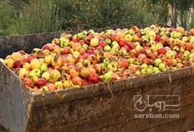 فروش سیب ضایعاتی