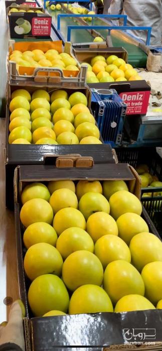 فروش سیب زرد