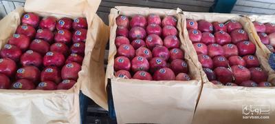 فروش سیب قرمز
