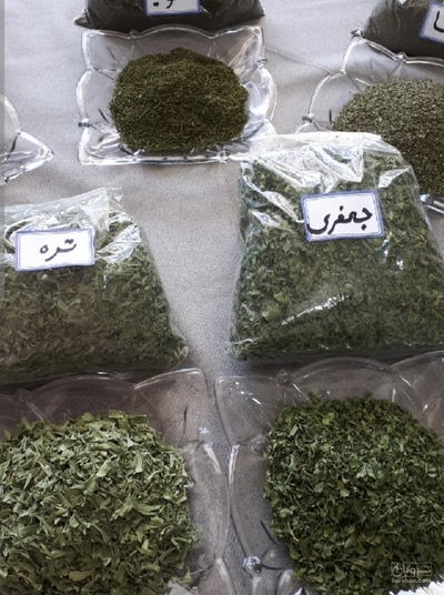 فروش سبزی تازه